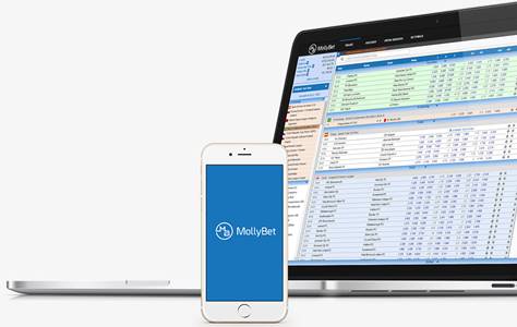 Vista del software en diferentes plataformas